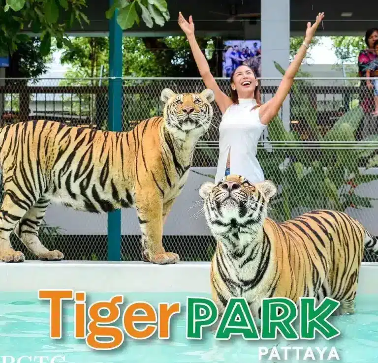 Phuket City Tour