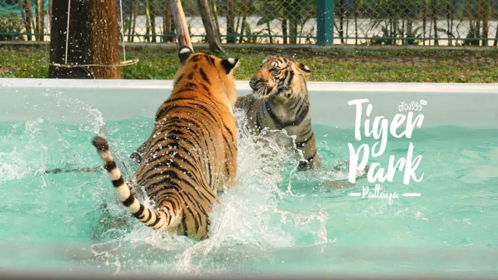 Phuket City Tour