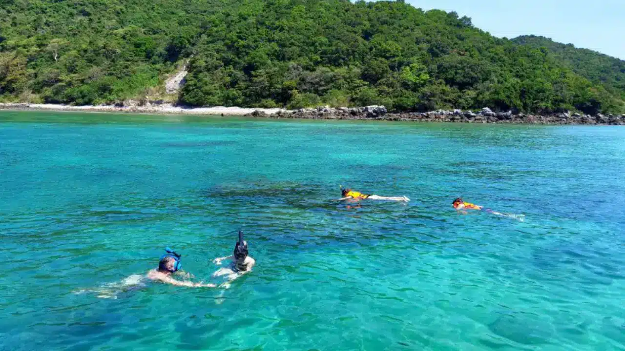 Phi Phi Island Phi Phi Island