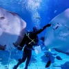 Aquaria Phuket Aquaria Phuket