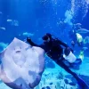 Aquaria Phuket Aquaria Phuket