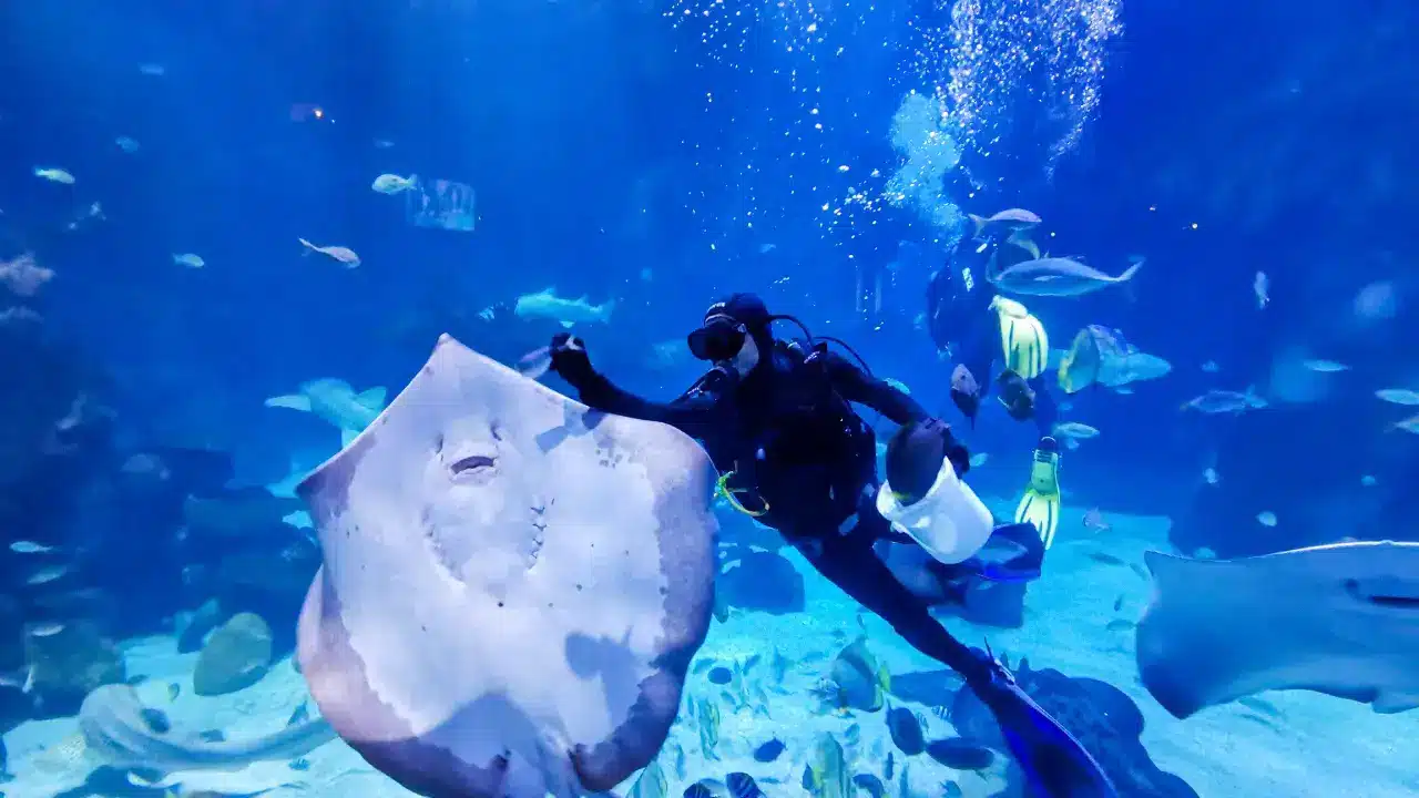Aquaria Phuket Aquaria Phuket