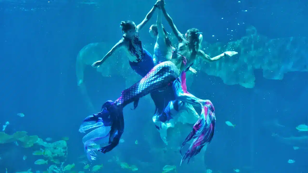 v Aquaria Phuket