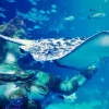 Aquaria Phuket Aquaria Phuket