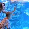 Aquaria Phuket Aquaria Phuket