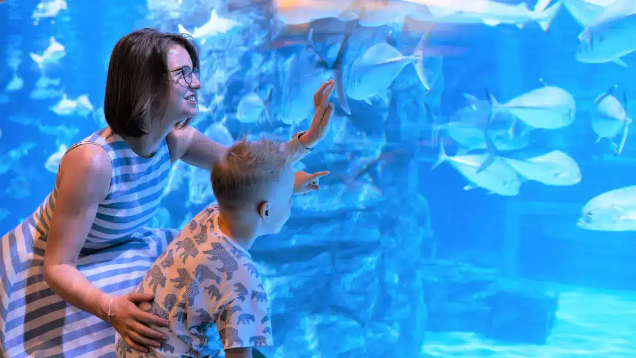 Aquaria Phuket Aquaria Phuket