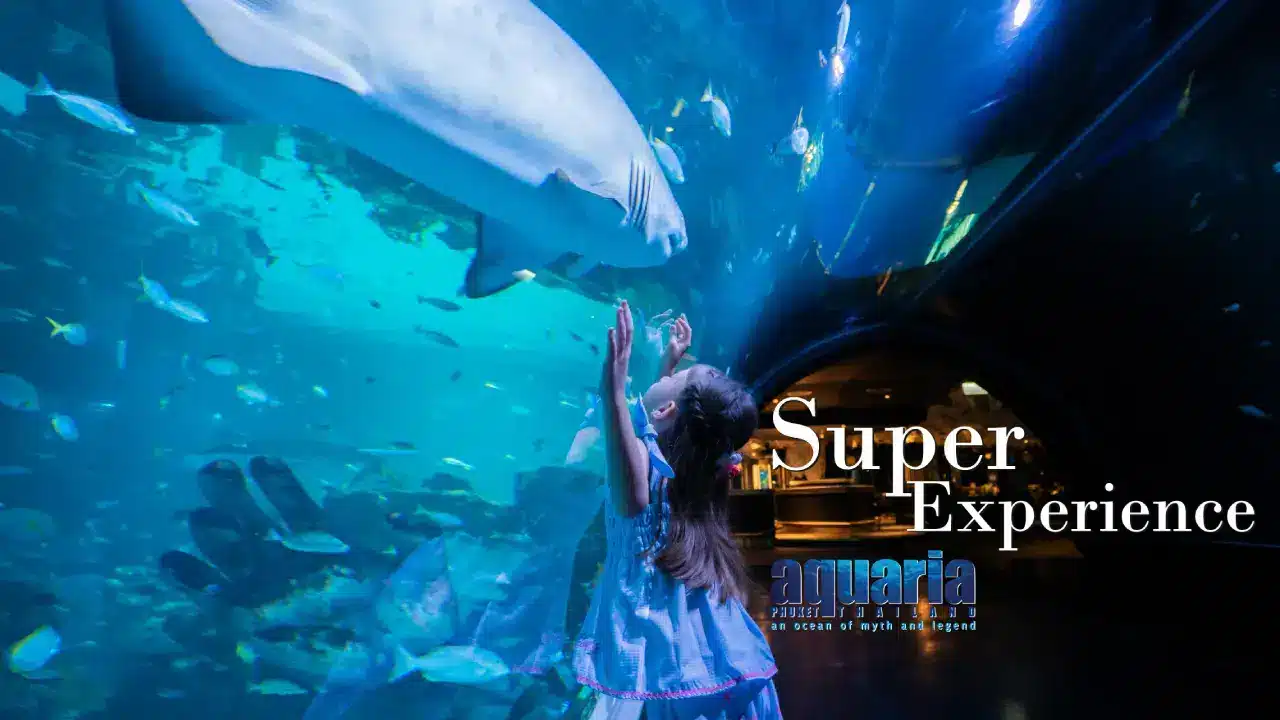 Aquaria Phuket Aquaria Phuket