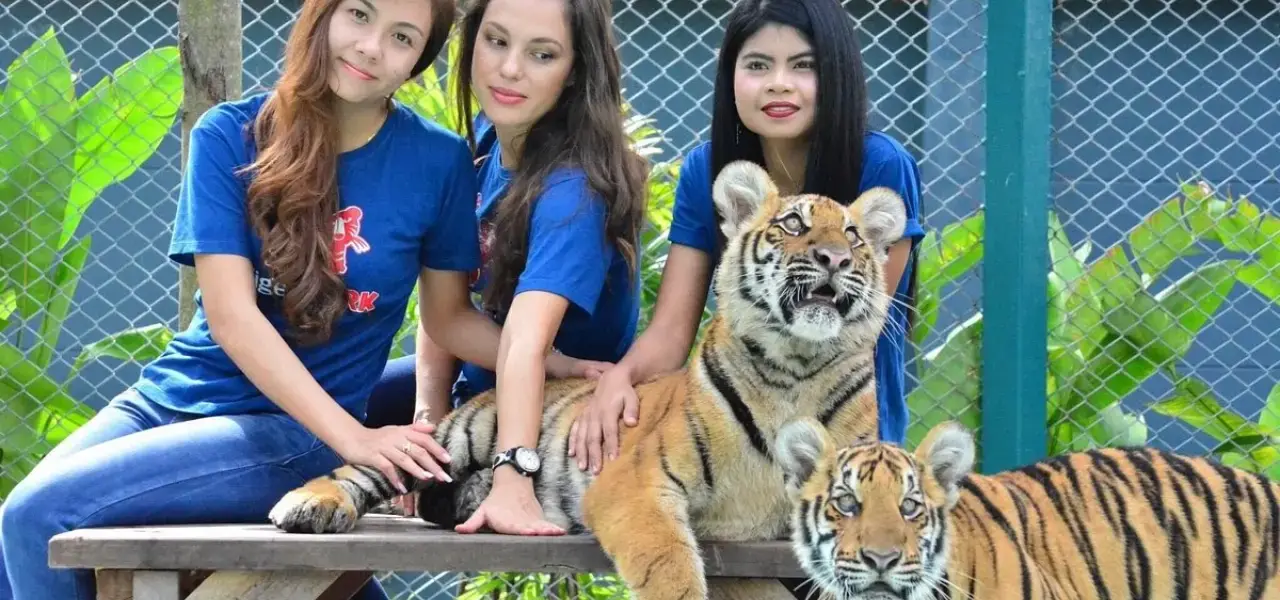 Tiger Park Pattaya