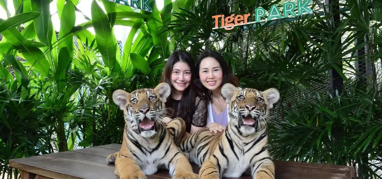 Tiger Park Pattaya