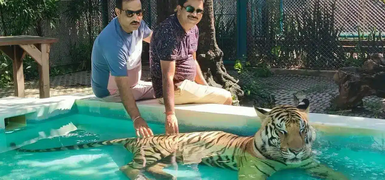 Tiger Park Pattaya