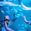 Aquaria Phuket Aquaria Phuket
