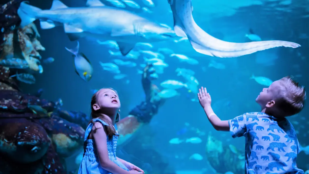 Aquaria Phuket Aquaria Phuket