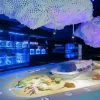 Aquaria Phuket Aquaria Phuket