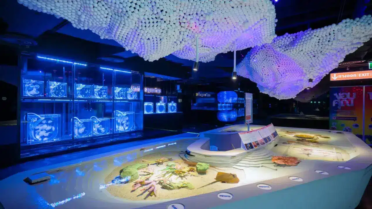 Aquaria Phuket Aquaria Phuket