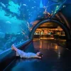 Aquaria Phuket Aquaria Phuket