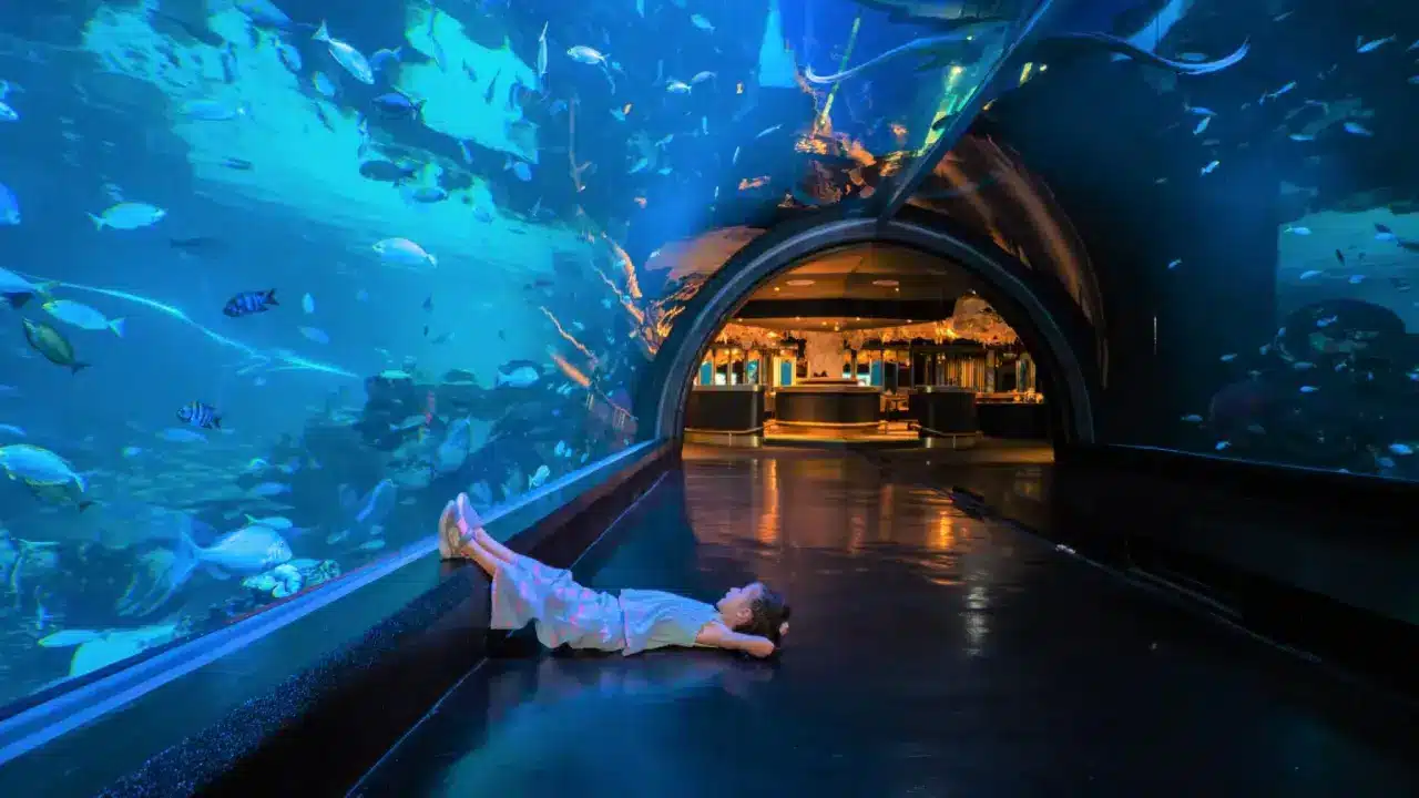 Aquaria Phuket Aquaria Phuket