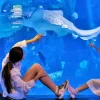 Aquaria Phuket Aquaria Phuket
