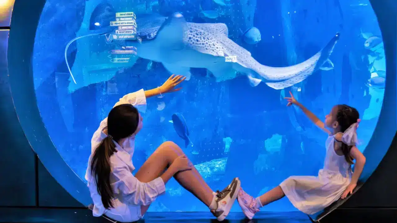 Aquaria Phuket Aquaria Phuket