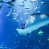 Aquaria Phuket Aquaria Phuket