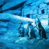 Aquaria Phuket Aquaria Phuket