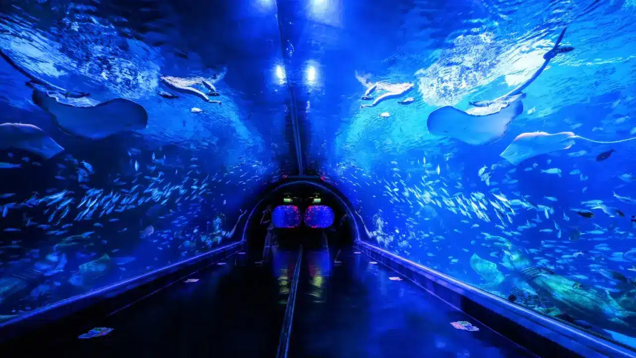 Aquaria Phuket Aquaria Phuket