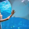Aquaria Phuket Aquaria Phuket