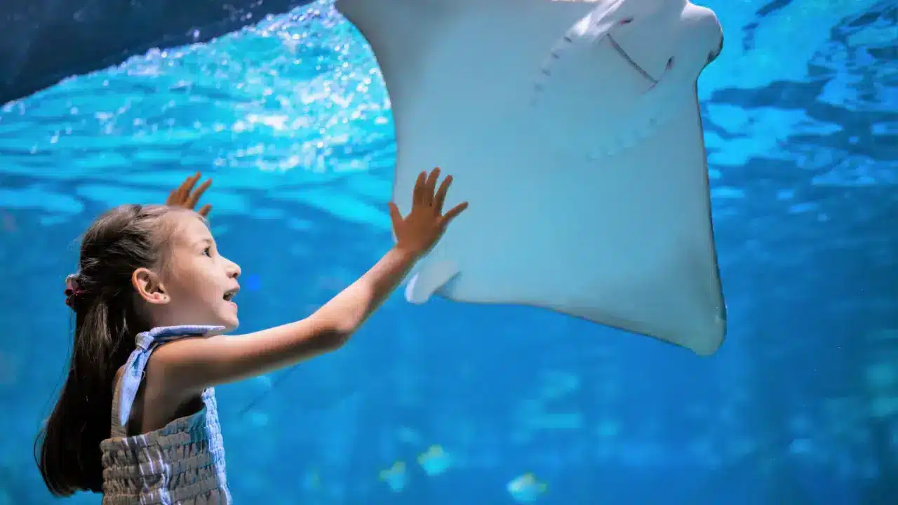 Aquaria Phuket Aquaria Phuket