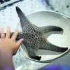 Aquaria Phuket Aquaria Phuket