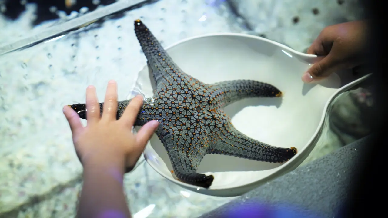 Aquaria Phuket Aquaria Phuket