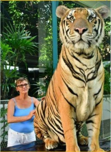 giant-tiger