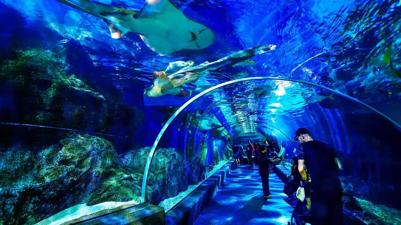 Bangkok City Tour - Package - D Bangkok City Tour - Package - D