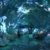 Space Time Cube Thailand (7)