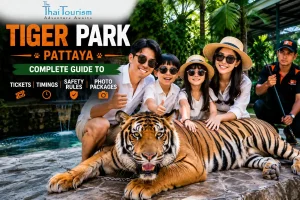 Read more about the article Tiger Park Pattaya: Complete Guide to Tickets, Timings, Safety Rules and Photo Packages
