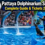 Pattaya Dolphinarium Show: Complete Guide & Tickets 2026