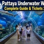 Pattaya Underwater World: Complete Guide & Tickets 2026