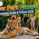 Tiger Park Pattaya: Complete Guide & Tickets 2026